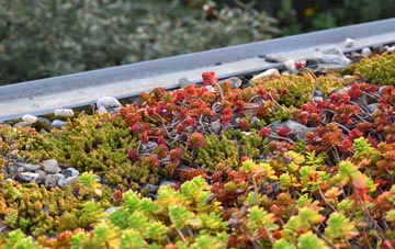 the cost of Moylgrove green roof installation