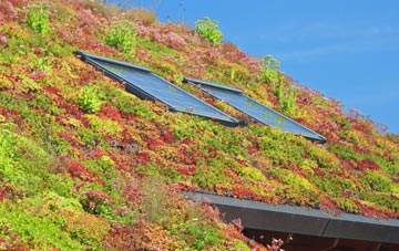Moylgrove living roof systems