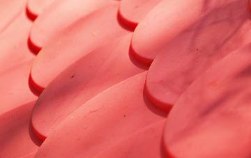 Moylgrove plastic roof costs