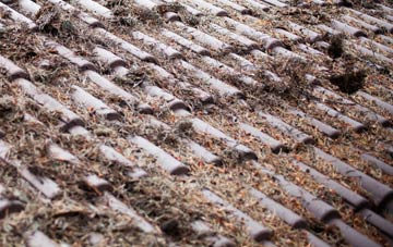 Moylgrove roof cleaning companies