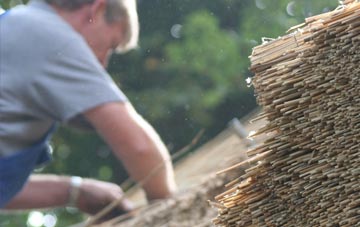 professional Moylgrove thatchers